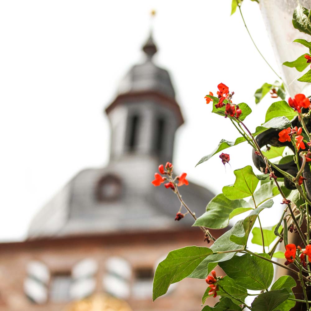 Dekobild Stadtturm Buchen